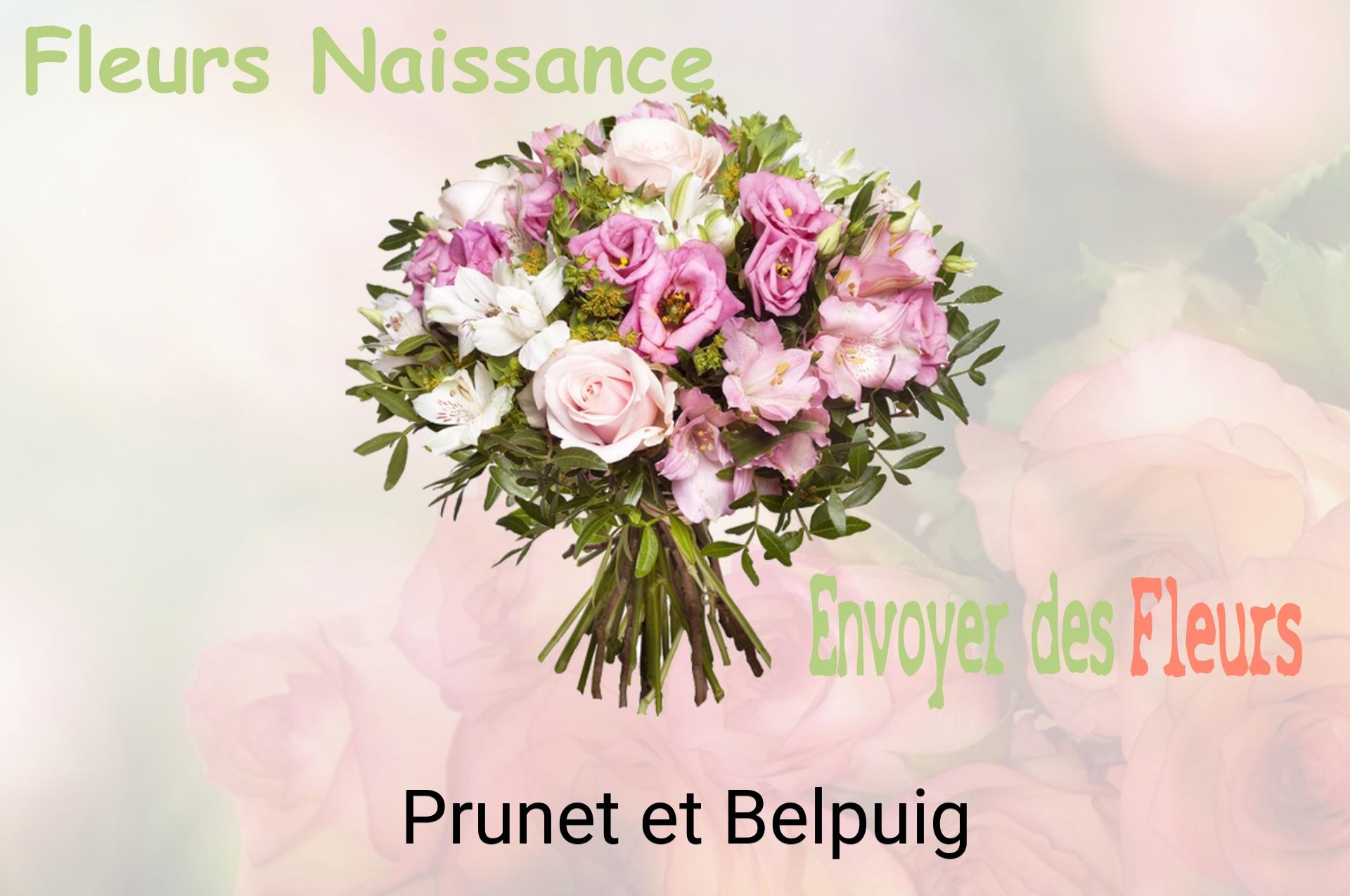 Bouquet de fleurs de naissance livré à Prunet-et-Belpuig